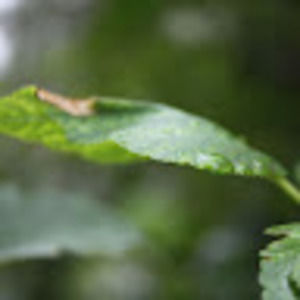 Meet your Posher, Nadia